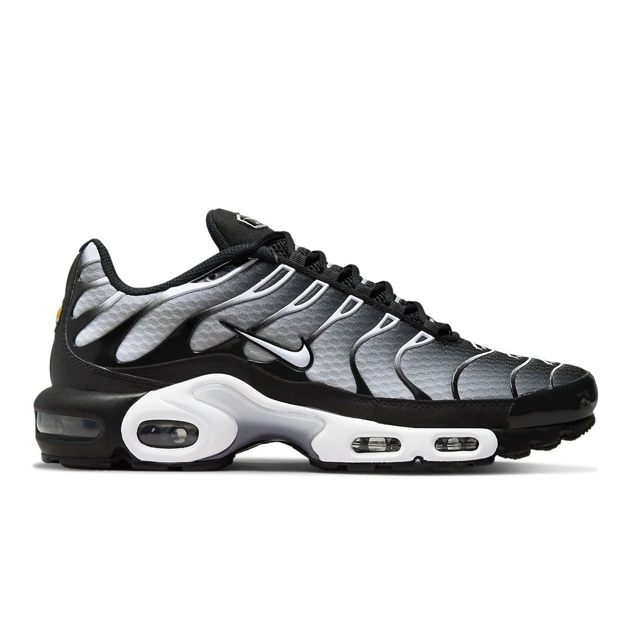 Nike Air Max Plus "Black Silver"