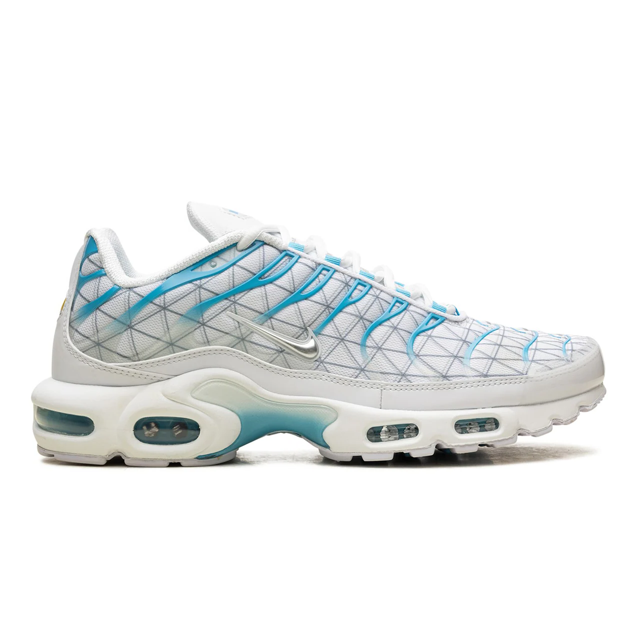 Nike Air Max Plus "Marseille"